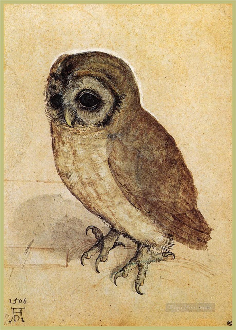 The Little Owl Albrecht Durer Oil Paintings